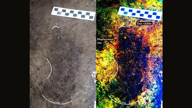 カナダのカルバート島で１万３０００年前の足跡２９個が見つかった＝Ｄｕｎｃａｎ　Ｍｃｌａｒｅｎ／Ｕｎｉｖｅｒｓｉｔｙ　ｏｆ　Ｖｉｃ